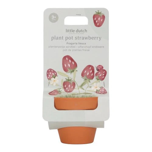 Little Dutch Plantenpotje Aardbei